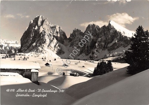 Cartolina - Postcard - Alpe di Siusi - Sassolungo - …