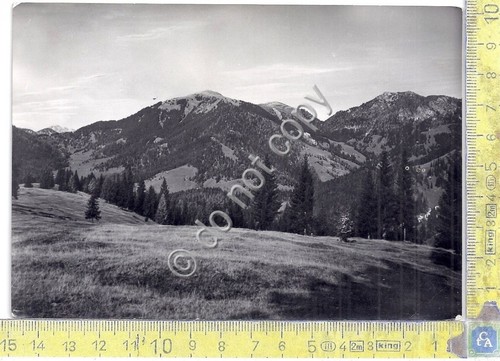 Cartolina - Postcard - Alpe di Ugovizza - Panorama - …