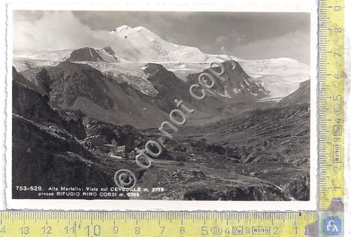 Cartolina - Postcard - Alta Martello - Timbro Rifugio Nino …