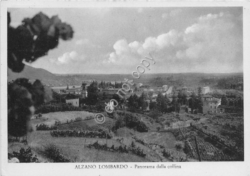 Cartolina - Postcard - Alzano Lombardo Panorama