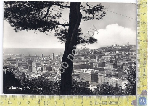 Cartolina - Postcard - Ancona - Panorama - 1955