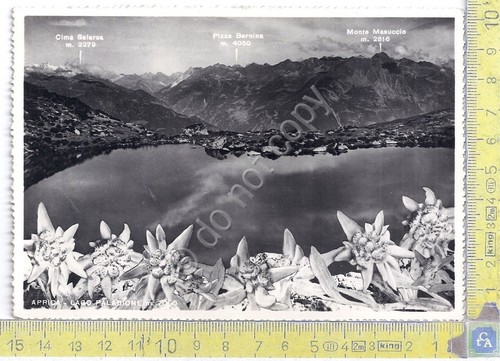 Cartolina - Postcard - Aprica - Lago Palabione - anni …