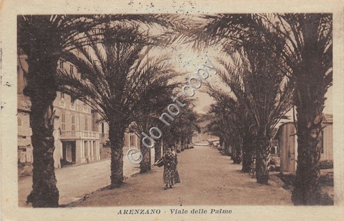 Cartolina - Postcard - Arenzano - Viale delle Palme - …