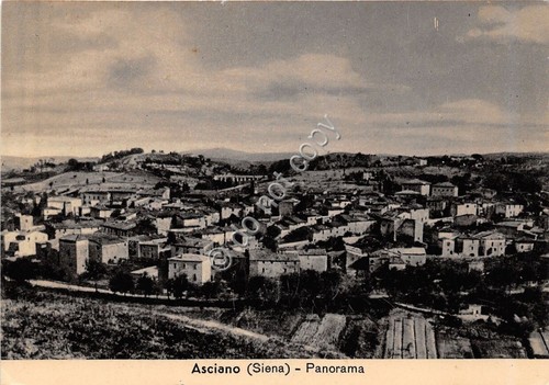 Cartolina - Postcard - Asciano - Panorama - 1988