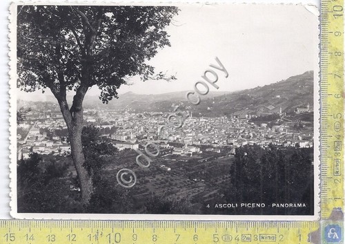 Cartolina - Postcard - Ascoli Piceno - Panorama - 1950