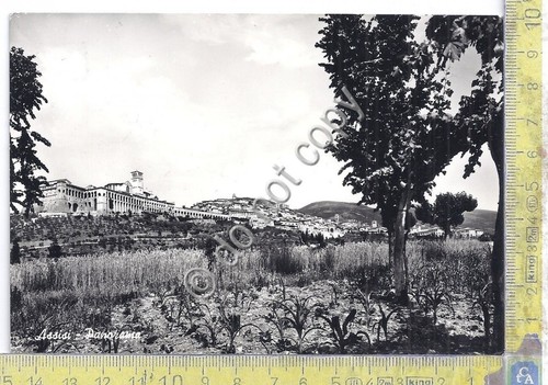 Cartolina - Postcard - Assisi - Panorama - 1961 (Perugia)