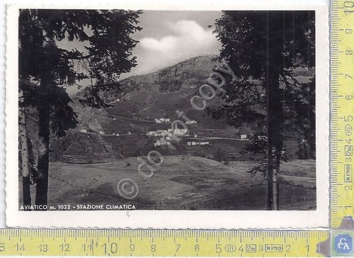Cartolina - Postcard - Aviatico - Panorama - anni '50