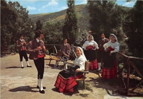 Cartolina - Postcard - Basilicata - Costumi tradizionali - NVG …