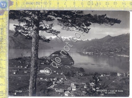 Cartolina - Postcard - Bellagio - Como - Penisola - …