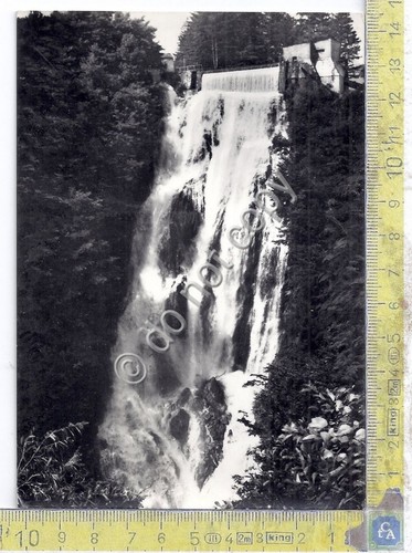 Cartolina - Postcard - Bellano - Cascata dell'Orrido - 1956