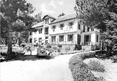 Cartolina - Postcard - Bellezze di Calabria - Sila - …