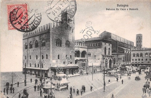 Cartolina - Postcard - Bologna - Palazzo Re Enzo - …