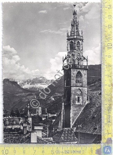 Cartolina - Postcard - Bolzano - Panorama - 1956