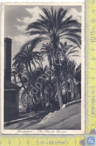 Cartolina - Postcard - Bordighera - Via Charles Garnier - …