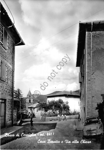 Cartolina - Postcard - Bosco di Corniglio - Casa Baratta …