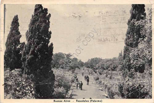 Cartolina - Postcard - Buenos Aires - Rosedales - 1946