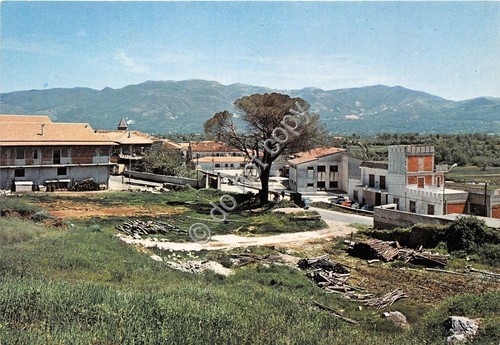 Cartolina - Postcard - Buonabitacolo - Casa Comunale - Scuole …