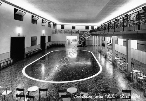 Cartolina - Postcard - Cadelbosco Sopra - Rosa d'oro - …