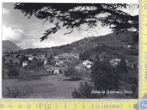 Cartolina - Postcard - Caldana e Cerro - Panorama - …