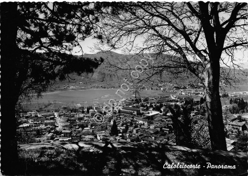 Cartolina - Postcard - Calolziocorte - Panorama - anni '60
