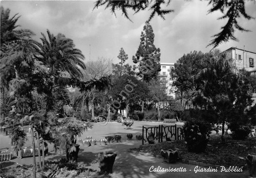 Cartolina - Postcard - Caltanissetta - giardini pubblici - 1958 …
