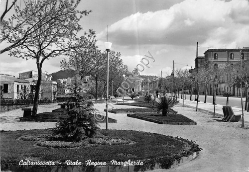 Cartolina - Postcard - Caltanissetta - Viale Regina Margherita - …