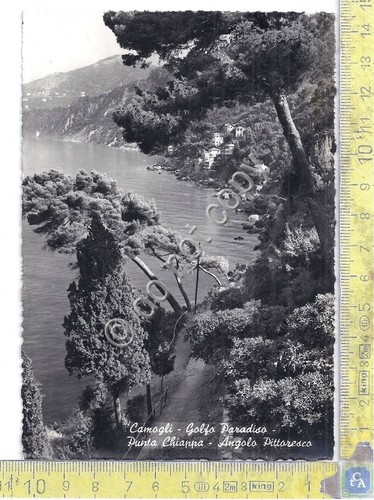 Cartolina - Postcard - Camogli - Golfo Paradiso - 1959