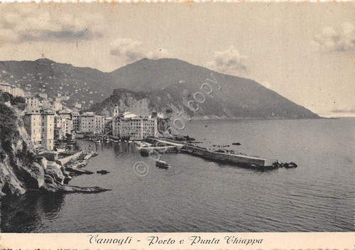 Cartolina - Postcard - Camogli - Porto e Punta Chiappa …