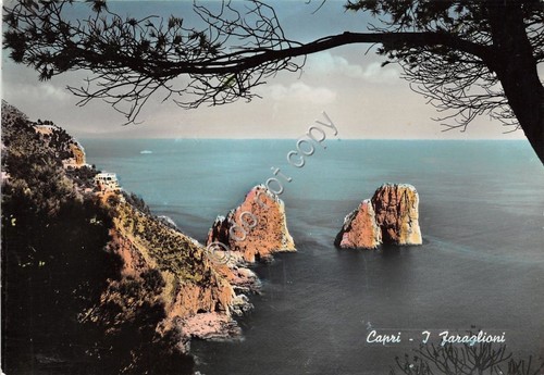 Cartolina - Postcard - Capri - I Faraglioni - anni …