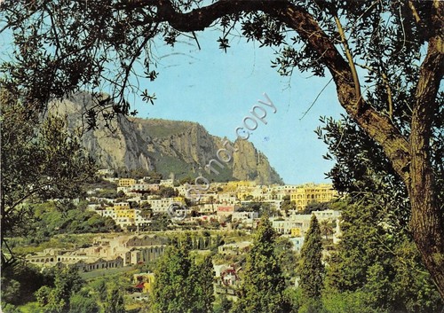 Cartolina - Postcard - Capri - Panorama - 1963