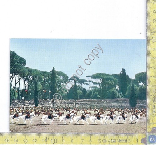 Cartolina - Postcard - Carabinieri - Carosello Equestre - 1