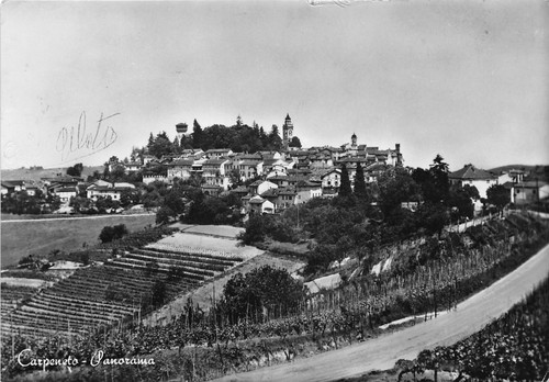 Cartolina - Postcard - Carpeneto - Panorama - 1955 (Alessandria)
