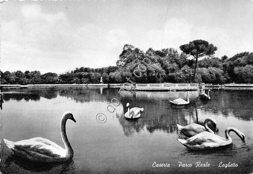 Cartolina - Postcard - Caserta - Parco Reale - Laghetto …