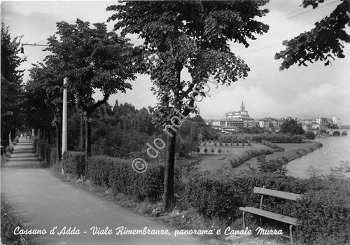 Cartolina - Postcard - Cassano d'Adda - Viale Rimembranze - …