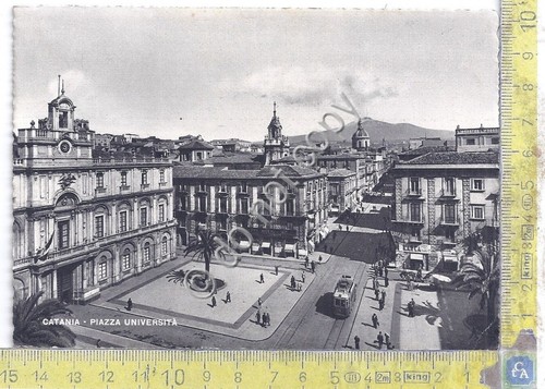 Cartolina - Postcard - Catania - Piazza Università - bus …
