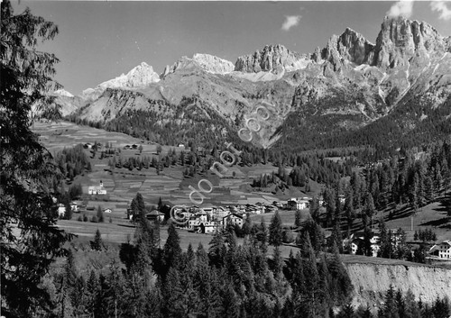 Cartolina - Postcard - Caviola - Panorama - 1953