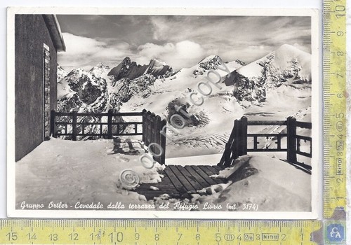 Cartolina - Postcard - Cevedale - Rifugio Liurio - 1965