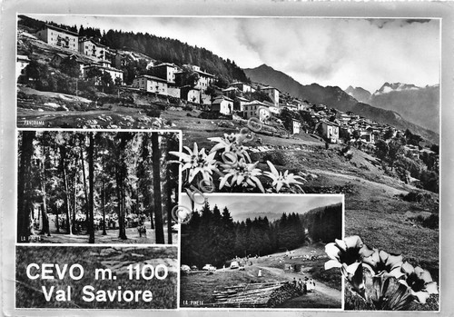 Cartolina - Postcard - Cevo - Val Saviore - Vedutine …