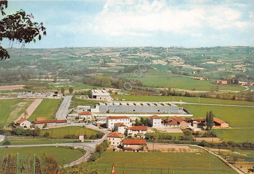 Cartolina - Postcard - Cherasco - Frazione Moglia - Langhe …