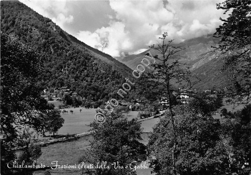 Cartolina - Postcard - Chialamberto - Frazione Prati della Via …