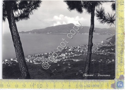 Cartolina - Postcard - Chiavari - Panorama - 1956 (Genova)