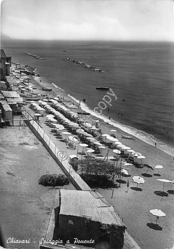 Cartolina - Postcard - Chiavari - Spiaggia - 1953