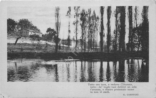 Cartolina - Postcard - Clitumno - Poesia Carducci - 1918