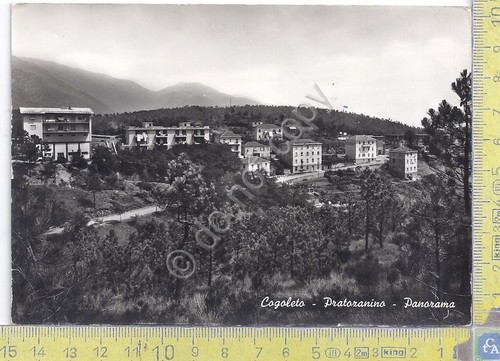 Cartolina - Postcard - Cogoleto - Pratozanino - panorama - …