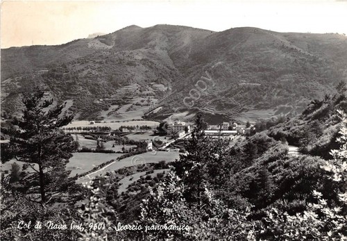 Cartolina - Postcard - Col di Nava - Panorama - …
