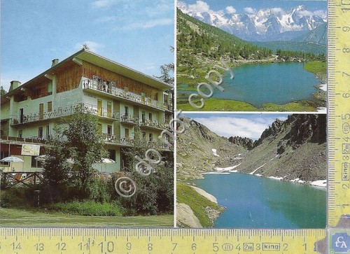 Cartolina - Postcard - Colle San Carlo - Albergo Genzianella …