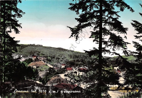 Cartolina - Postcard - Consuma - Panorama - anni '60 …