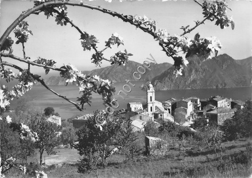 Cartolina - Postcard - Corsica - Ajaccio - Piana e …