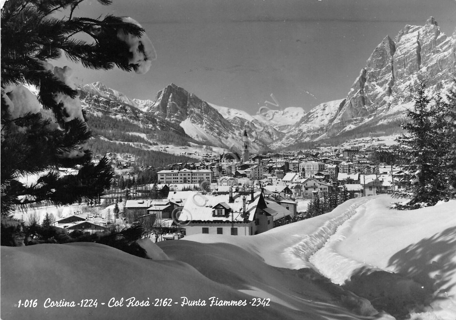 Cartolina - Postcard - Cortina - Panorama - Col Rosà …