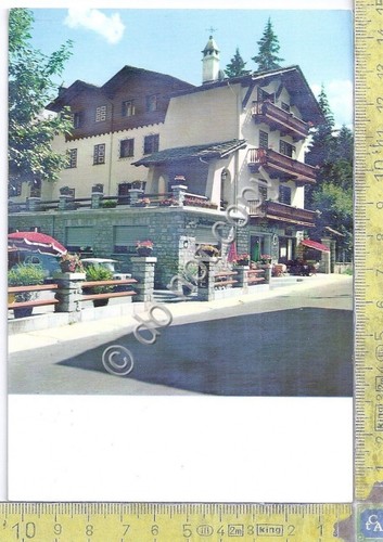 Cartolina - Postcard - Courmayeur - Hotel Courmayeur - 1960
